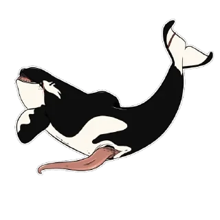 Telegram sticker 🫥 Akai the Orca