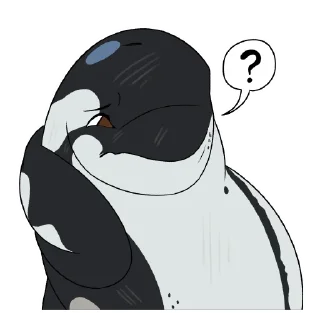 Video sticker 🤔 Akai the Orca
