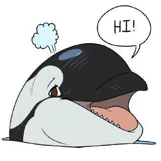 Video sticker 😃 Akai the Orca