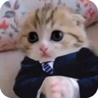 Telegram sticker 👨‍💼 7th Bland