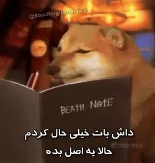Video sticker 😐 @YumeAniSticker حتما جوین شو