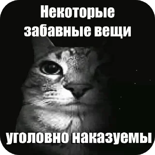 Telegram stiker 🖼 да da