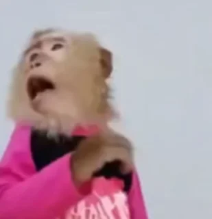 Video sticker 💃 မျောက်တုံစပ‌လေး