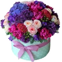 Video sticker 🌹 JASMINE_school_stickers_flowers
