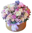 Telegram sticker 🌹 JASMINE_school_stickers_flowers
