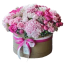 Telegram sticker 🌹 JASMINE_school_stickers_flowers