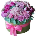 Telegram sticker 🌹 JASMINE_school_stickers_flowers