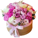 Telegram sticker 🌹 JASMINE_school_stickers_flowers