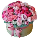 Telegram sticker 🌹 JASMINE_school_stickers_flowers
