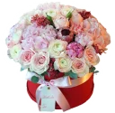 Telegram sticker 🌹 JASMINE_school_stickers_flowers
