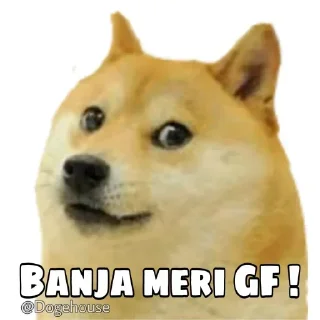 Telegram sticker 😌 ig_zen1us ordiniary pack