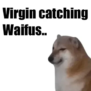 Video sticker 🐶 ig_zen1us ordiniary pack