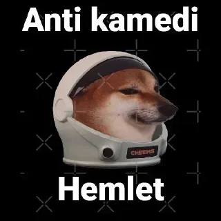 Video sticker ⛑️ ig_zen1us ordiniary pack