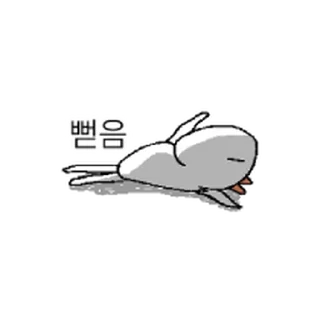 Video sticker ⭐ 아기새 끼새 @moe_sticker_bot
