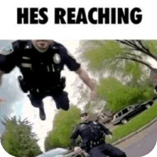 Video sticker 🧸 гонево @wrthn38