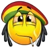 Video sticker 🙂 legalized ➜ @emo...