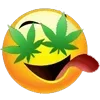 Sticker 🫡 legalized ➜ @emoji_room