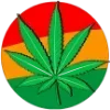 Video sticker ☘ legalized ➜ @emo...