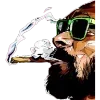 Sticker 💨 legalized ➜ @emoji_room