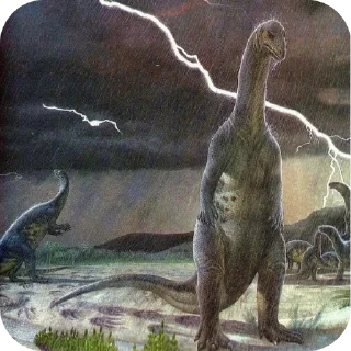 Video sticker 🐦 Fuh