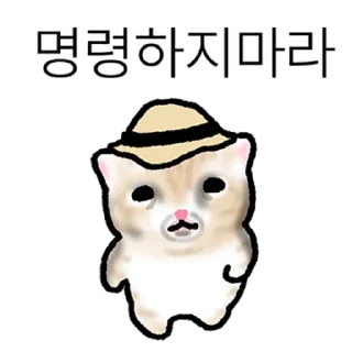 Sticker 👍 @KakaoEmoji 작아요 고먕이 5