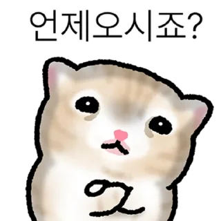 Telegram sticker 👍 @KakaoEmoji 작아요 고먕이 5