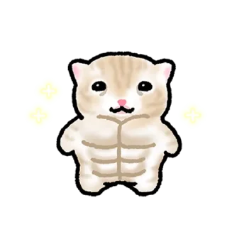 Video sticker 👍 @KakaoEmoji 작아요 고먕이 5