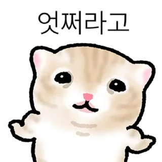 Video sticker 👍 @KakaoEmoji 작아요 고먕이 5