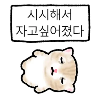Video sticker 👍 @KakaoEmoji 작아요 고먕이 5