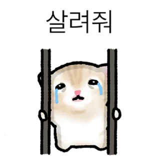 Telegram sticker 👍 @KakaoEmoji 작아요 고먕이 5