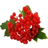 Sticker 🍇 Сад•Огород•Дача @Nat_Garten