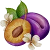 Sticker 🍑 Сад•Огород•Дача @Nat_Garten
