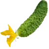 Sticker 🥒 Сад•Огород•Дача @Nat_Garten