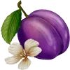 Sticker 🍑 Сад•Огород•Дача @Nat_Garten