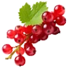 Sticker 🍇 Сад•Огород•Дача @Nat_Garten