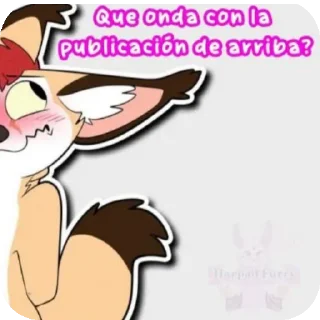 Video sticker 🐱 Estikers todos randoms