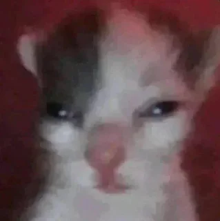 Sticker 😂 - @rody_333 , @bcxz1