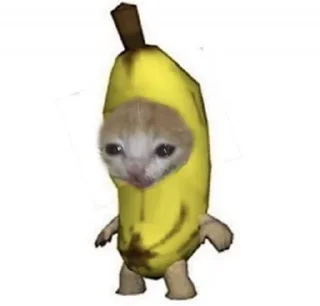 Telegram sticker 😐 - @rody_333 , @bcxz1