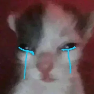 Video sticker 😭 - @rody_333 , @bcxz1