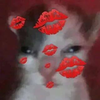 Video sticker 💋 - @rody_333 , @bcxz1