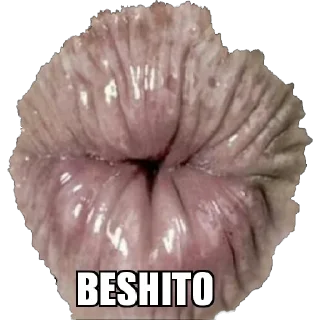 Telegram sticker 😘 Joda