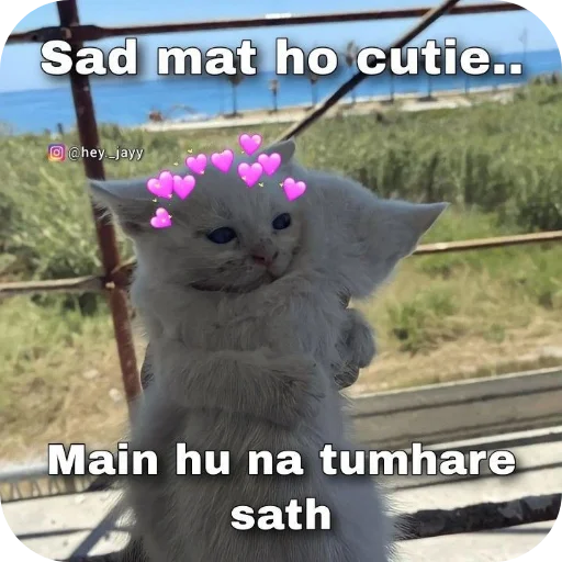 Telegram sticker 🐱 (( @ll_PURE_SOUL_ll ))..🥀🫰