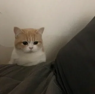 Телеграм стикер 🍖 𝙕𝙍𝘼 ³ | @E_KiK