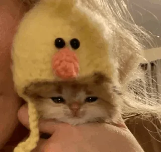 Телеграм стикер 🍖 𝙕𝙍𝘼 ³ | @E_KiK