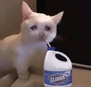 Телеграм стикер 🍖 𝙕𝙍𝘼 ³ | @E_KiK