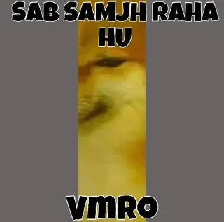 Telegram sticker 👀 Cheems he vmro😏