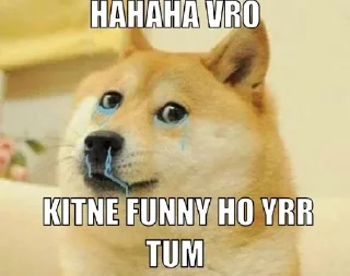 Video sticker 🥲 Cheems he vmro😏