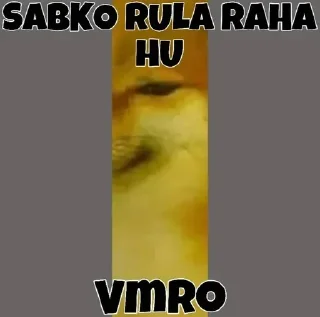 Telegram sticker 👀 Cheems he vmro😏