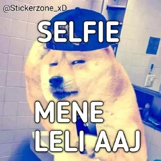 Video sticker 😎 Cheems he vmro😏