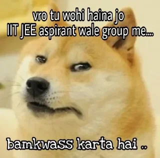 Telegram sticker 😒 Cheems he vmro😏